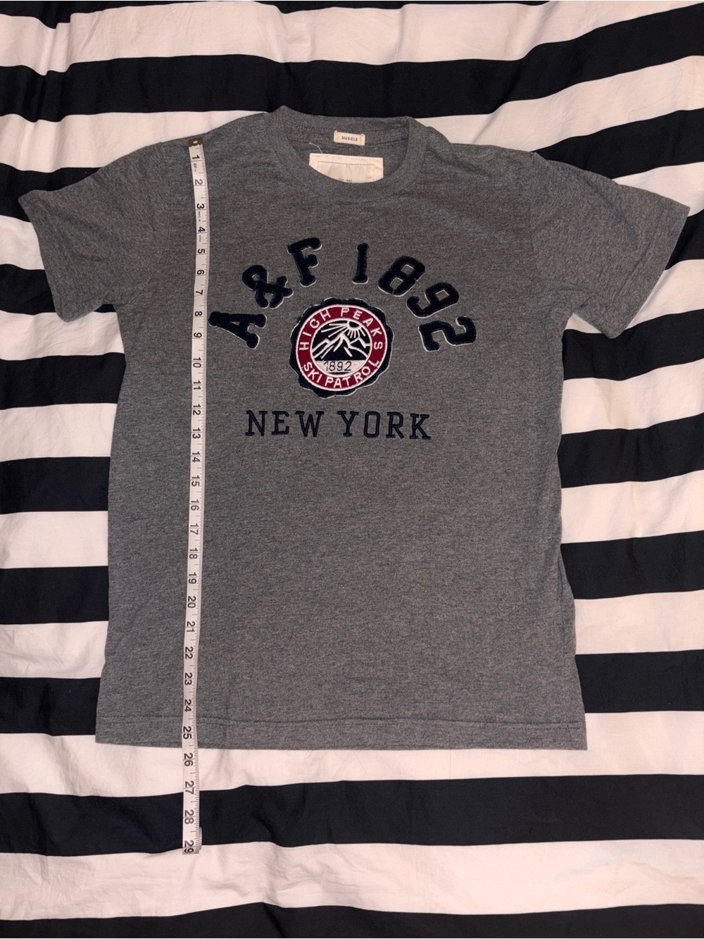 Vintage Abercrombie and Fitch Grey Muscle Fit Embroidered T-Shirt - Picture 3 of 4